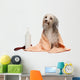 Wet Chocolate Havanese Dog Wall Decal