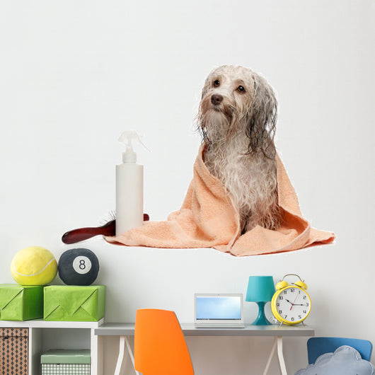 Wet Chocolate Havanese Dog Wall Decal