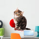 Cute Kitten Wall Decal