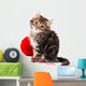 Cute Kitten Wall Decal