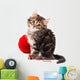 Cute Kitten Wall Decal