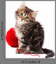 Cute Kitten Wall Decal