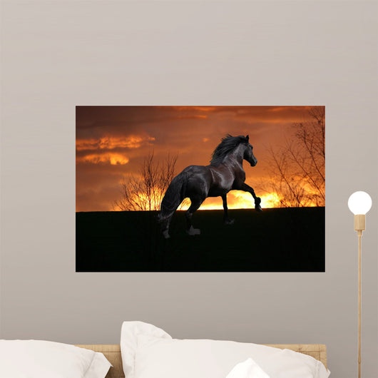 Der Sonne Entgegen Wall Decal