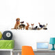 Pets Wall Decal
