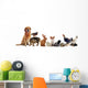 Pets Wall Decal