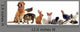 Pets Wall Decal