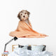 Wet Chocolate Havanese Puppy Wall Decal
