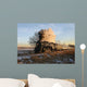 Evening Train Wall Decal