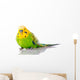Green And Yellow Parakeet Wall Decal