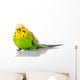 Green And Yellow Parakeet Wall Decal