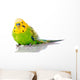 Green And Yellow Parakeet Wall Decal