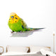Green And Yellow Parakeet Wall Decal