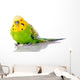 Green And Yellow Parakeet Wall Decal
