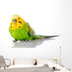 Green And Yellow Parakeet Wall Decal