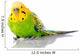 Green And Yellow Parakeet Wall Decal