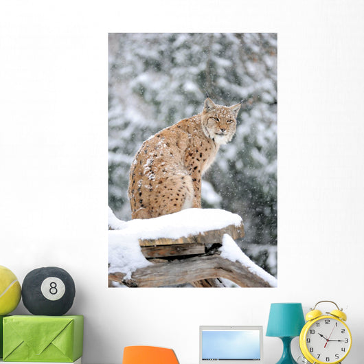 Sitting Lynx in Winter Wall Decal