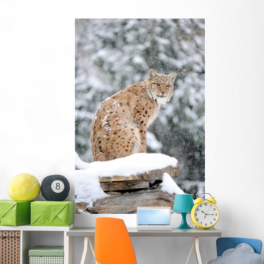 Sitting Lynx in Winter Wall Decal
