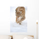 Lynx Stalking in the Winter Snow Wall Decal