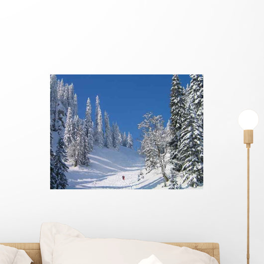 Skitour Zum Tennemooskopf Wall Decal