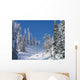 Skitour Zum Tennemooskopf Wall Decal