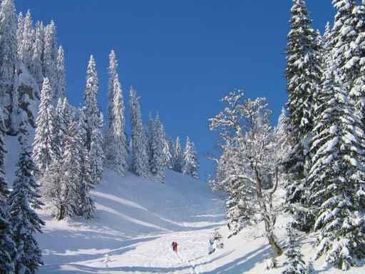 Skitour Zum Tennemooskopf Wall Decal