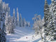 Skitour Zum Tennemooskopf Wall Decal