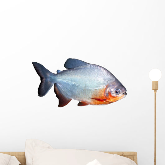 Piranha Fish Wall Decal