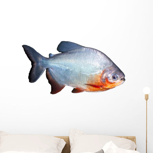 Piranha Fish Wall Decal