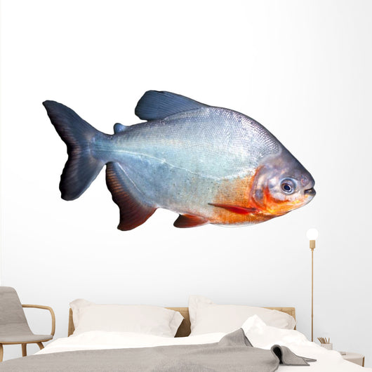 Piranha Fish Wall Decal