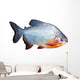Piranha Fish Wall Decal
