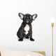 French Bulldog Puppy Sits Wall Decal