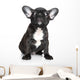 French Bulldog Puppy Sits Wall Decal