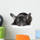 French Bulldog Puppy Wall Decal