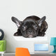 French Bulldog Puppy Wall Decal