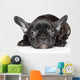 French Bulldog Puppy Wall Decal