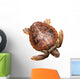 Loggerhead Water Turtle Wall Decal
