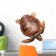Loggerhead Water Turtle Wall Decal