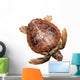 Loggerhead Water Turtle Wall Decal
