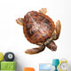 Loggerhead Water Turtle Wall Decal