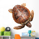 Loggerhead Water Turtle Wall Decal
