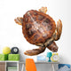 Loggerhead Water Turtle Wall Decal