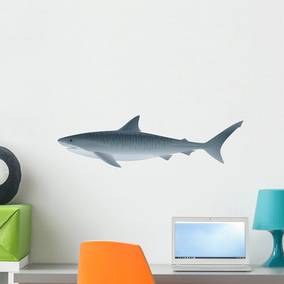 Tiger Shark Wall Decal shown on a wall