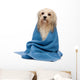 Wet Havanese Dog Wrapped in a Towel Wall Decal