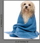 Wet Havanese Dog Wrapped in a Towel Wall Decal