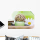 Spa Objects Tray Wall Decal