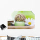 Spa Objects Tray Wall Decal