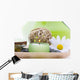 Spa Objects Tray Wall Decal