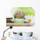 Spa Objects Tray Wall Decal