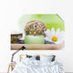 Spa Objects Tray Wall Decal