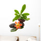 Zen Stones With Tropical Wall Decal